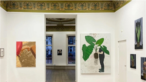 Gallery viewer